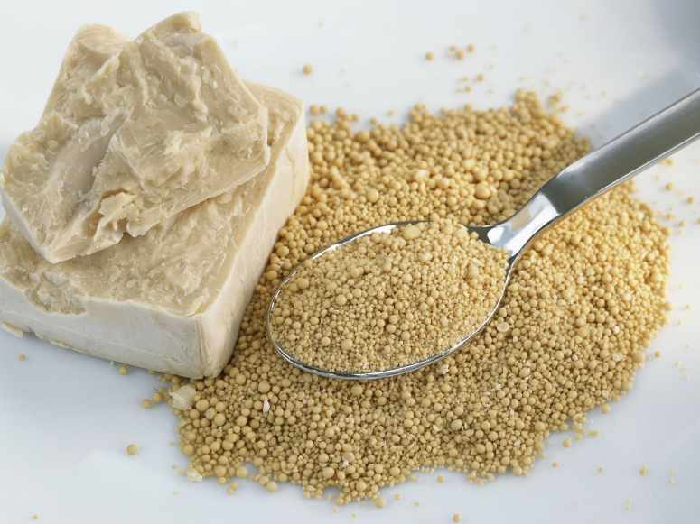 فروش اینترنتی خمیرمایه