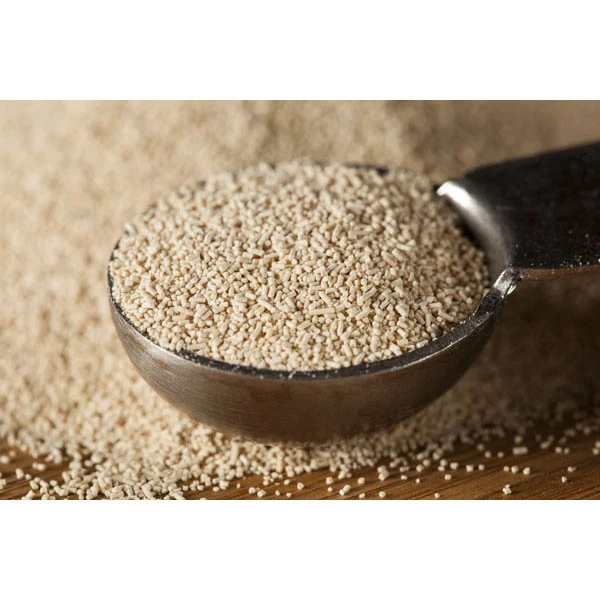 فروش خمیرمایه با فاکتور رسمی