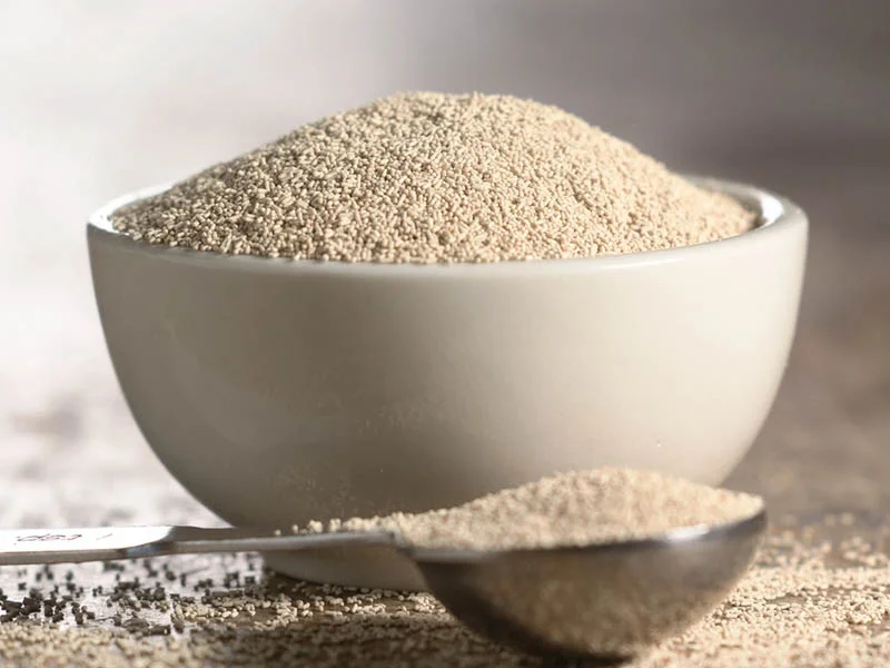 مخمر رضوی عمده فروشی
