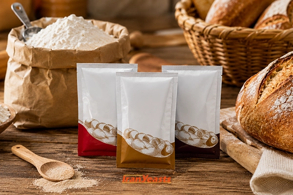 خمیرمایه ساشه ای