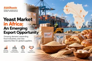 Yeast Market in Africa