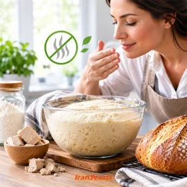 از بین بردن بوی خمیر مایه