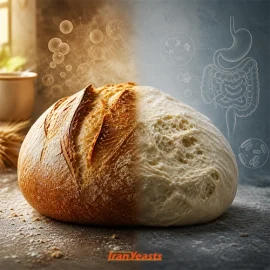 فواید و مضرات خمیر مایه